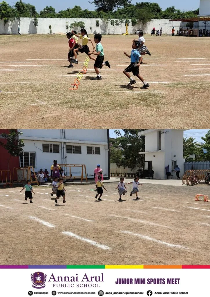 Senior Mini Sports Meet