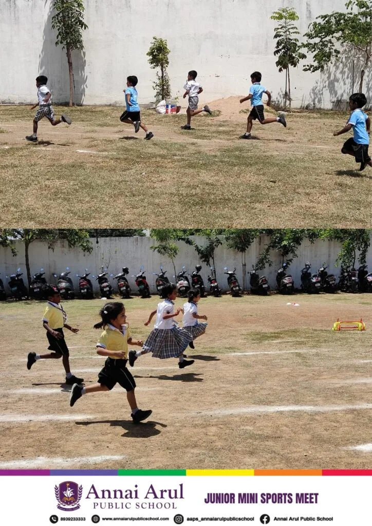 junior sportrs